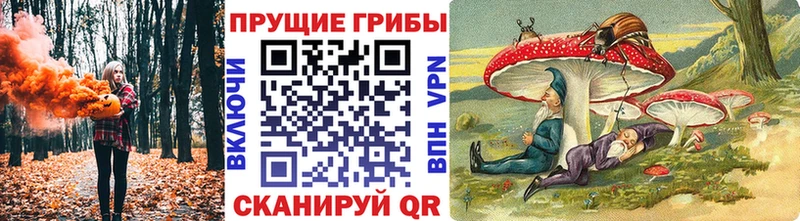 мориарти телеграм  Королёв  Псилоцибиновые грибы Magic Shrooms 